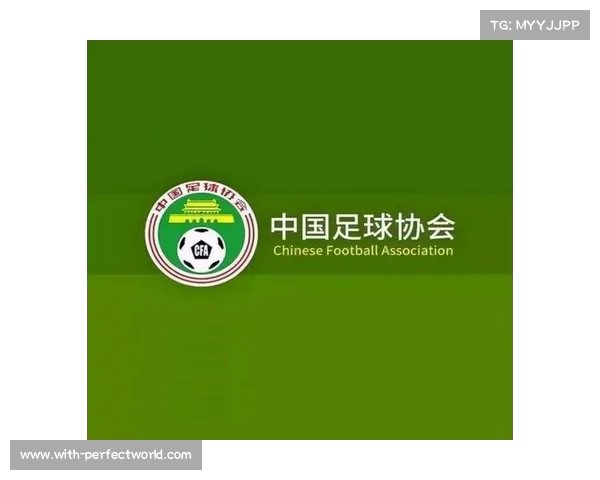 足球俱乐部引援预算分析与合理规划对球队竞争力的提升作用